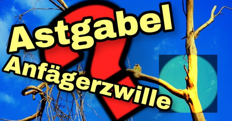 Astgabel als Anfänger Zwille